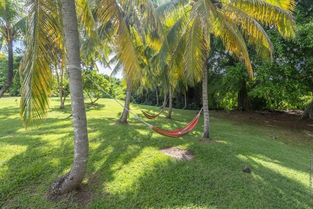 Suite Tropicale Village Vacances Сент-Люс Экстерьер фото